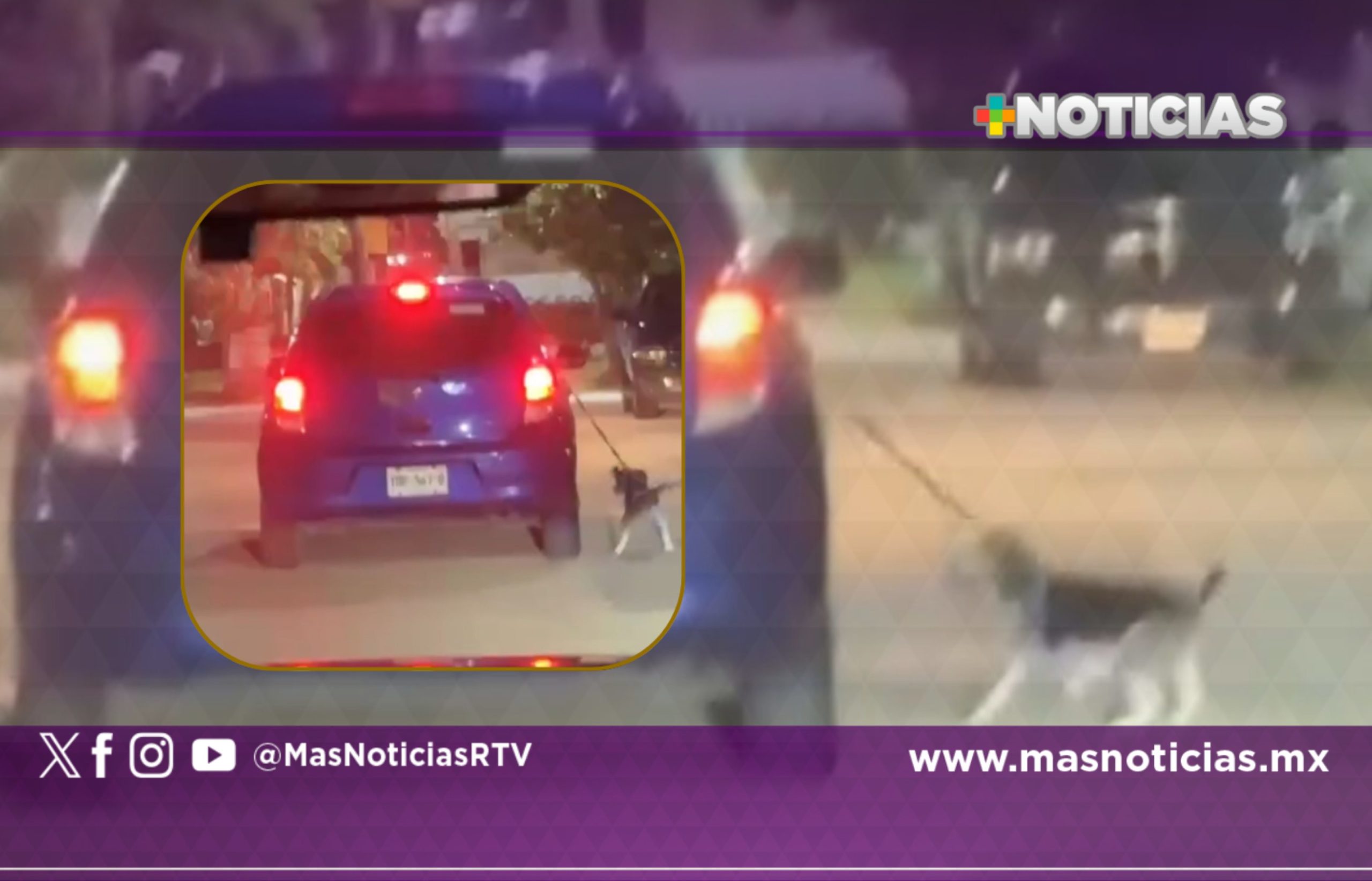 Otro caso de maltrato animal en Coatzacoalcos