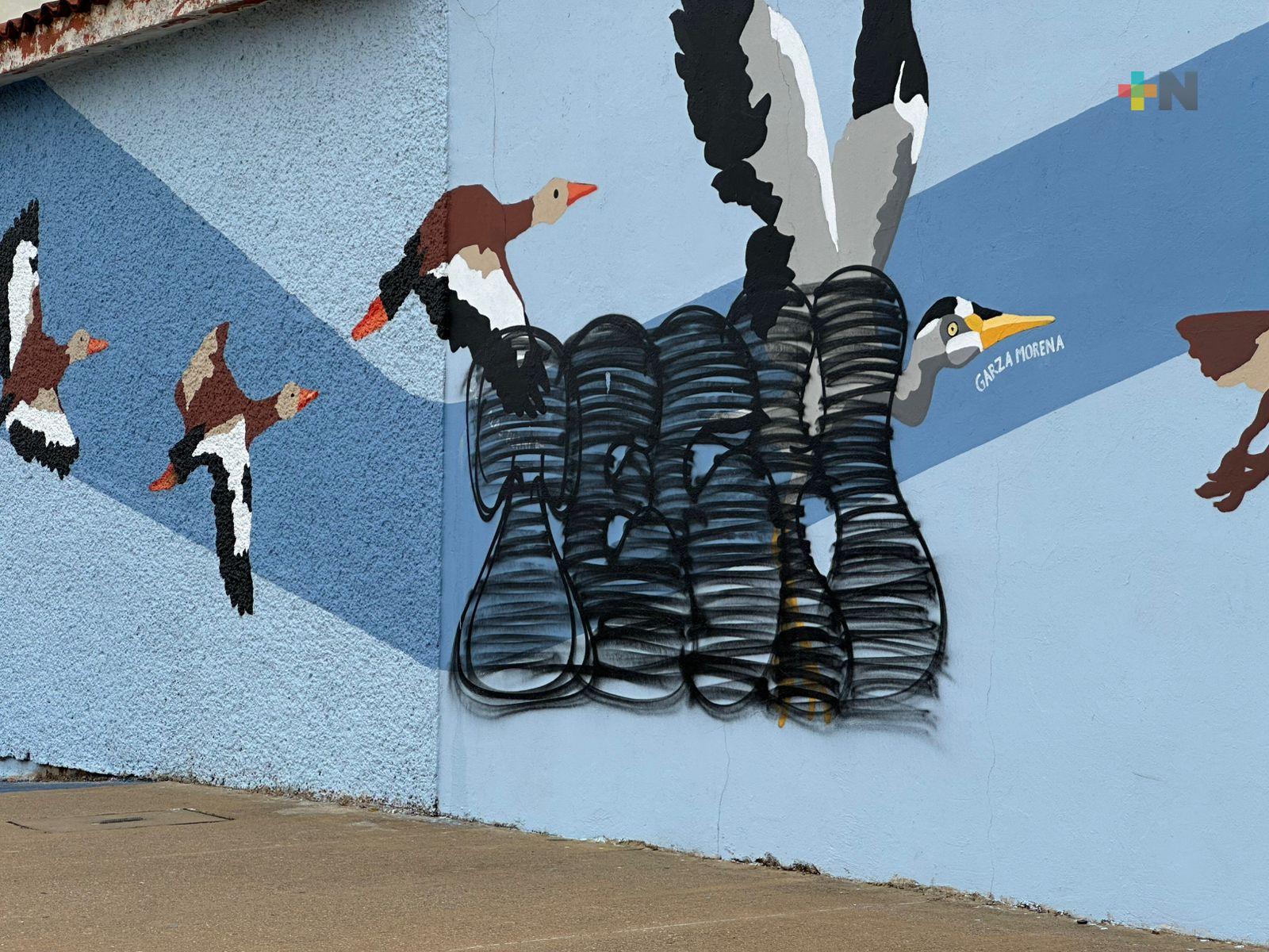 Colectivos ambientalistas lamentan vandalización de mural en Coatza