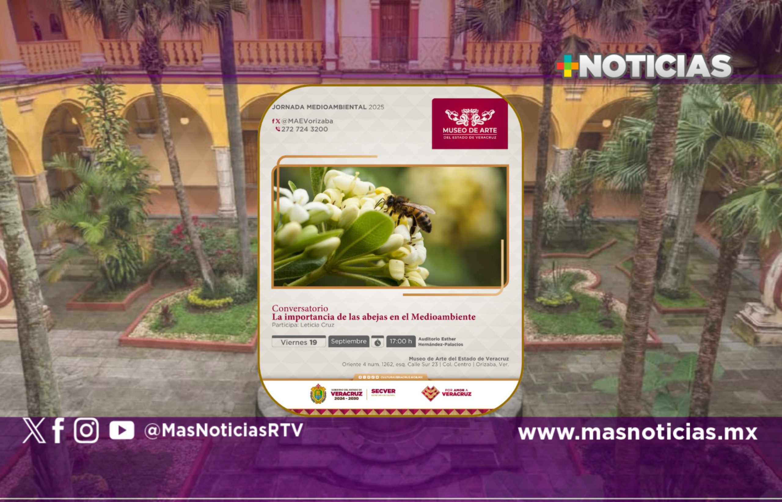 Jornada medioambiental ofrecerá productos de la colmena en el MAEV