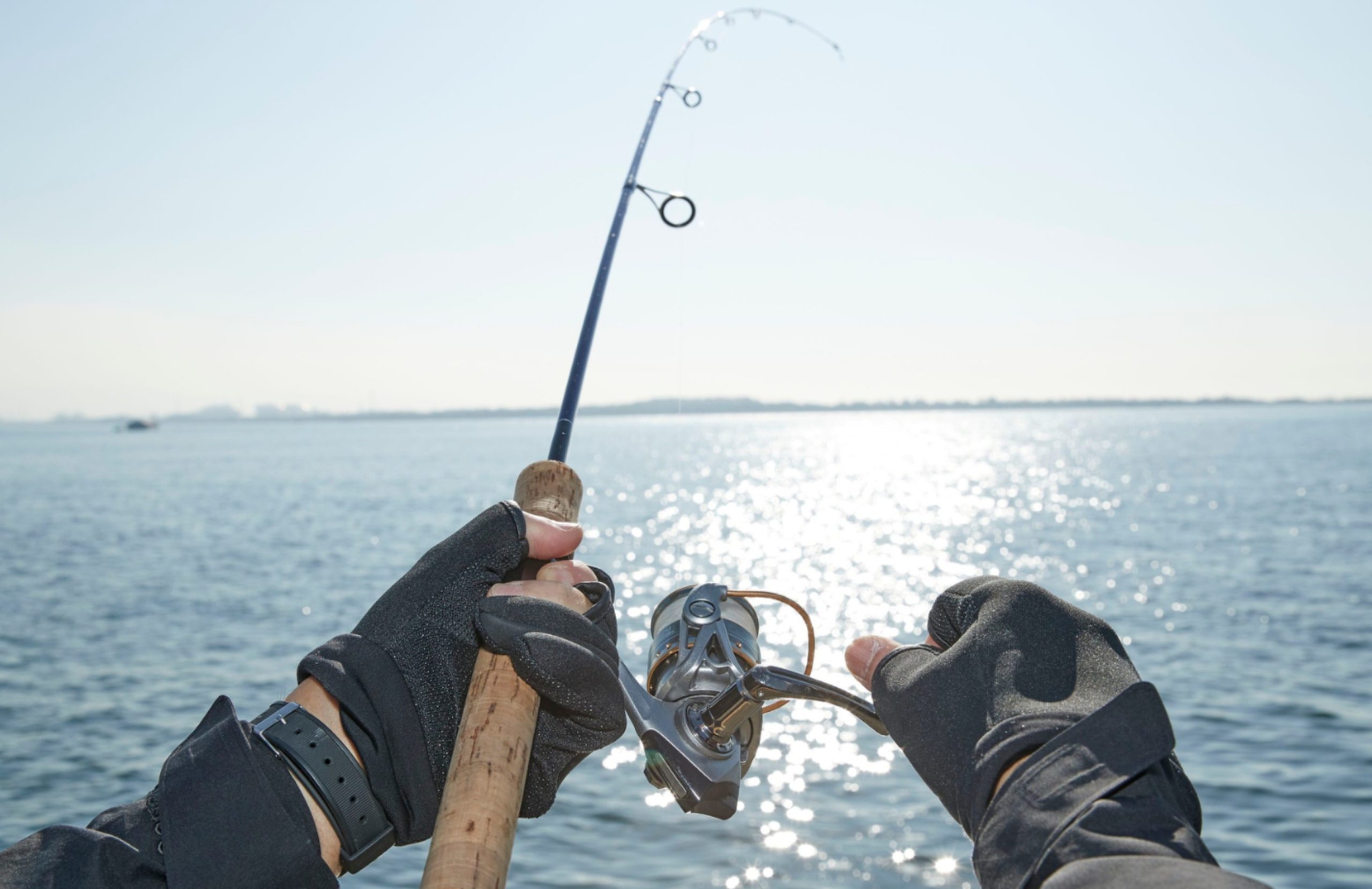 Edición 10 del Torneo de Pesca del Marlín Azul comienza el 18 de septiembre