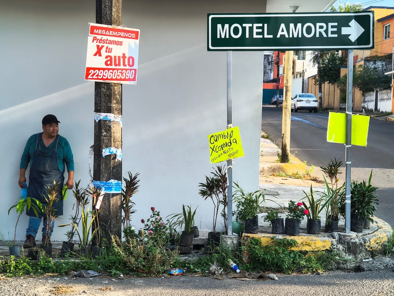 Por caída de ventas, comerciante cambia plantas por comida en Boca del Río, Veracruz