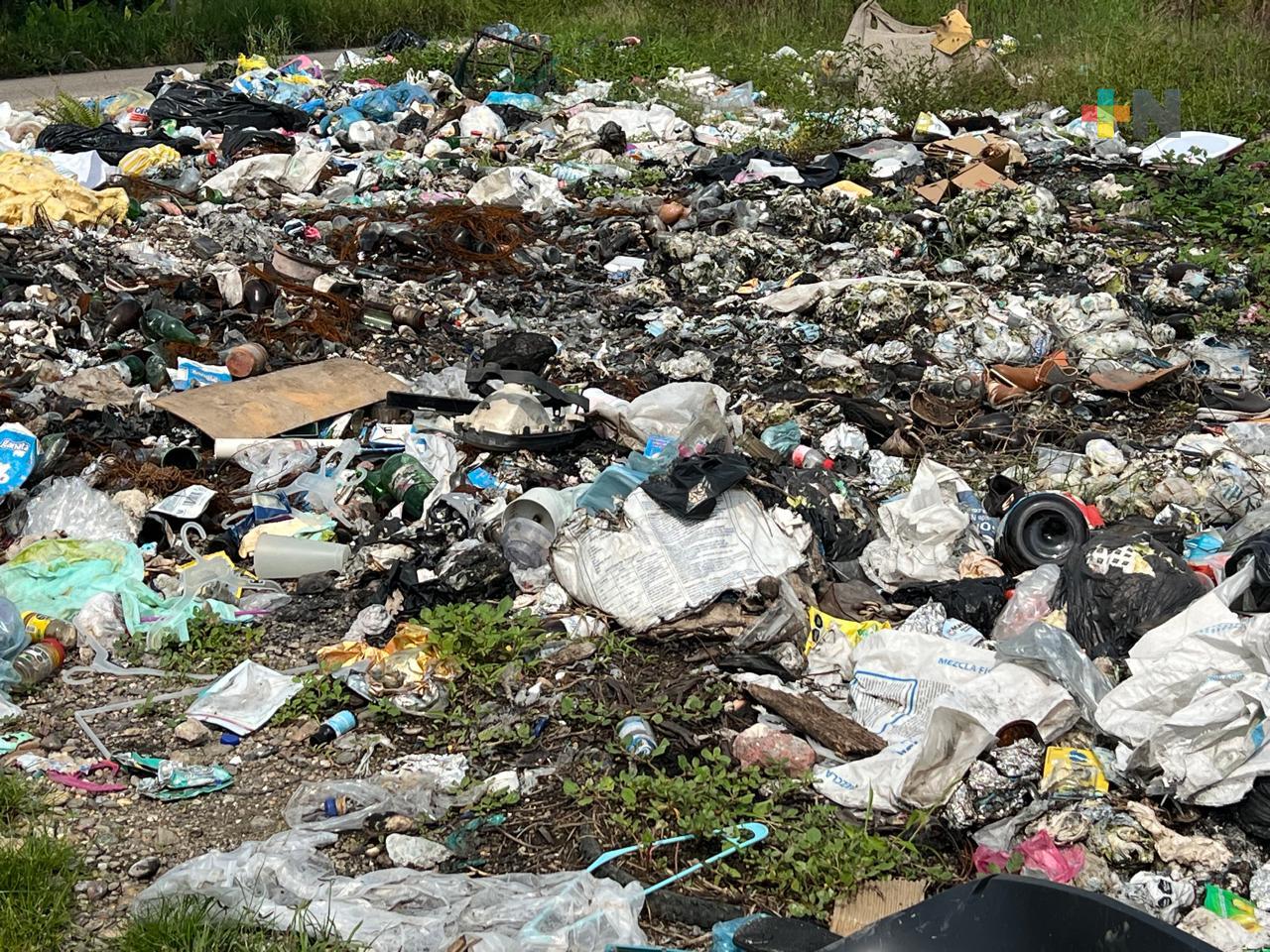 Crece el riesgo sanitario en la Cuenca del Papaloapan por tiraderos clandestinos