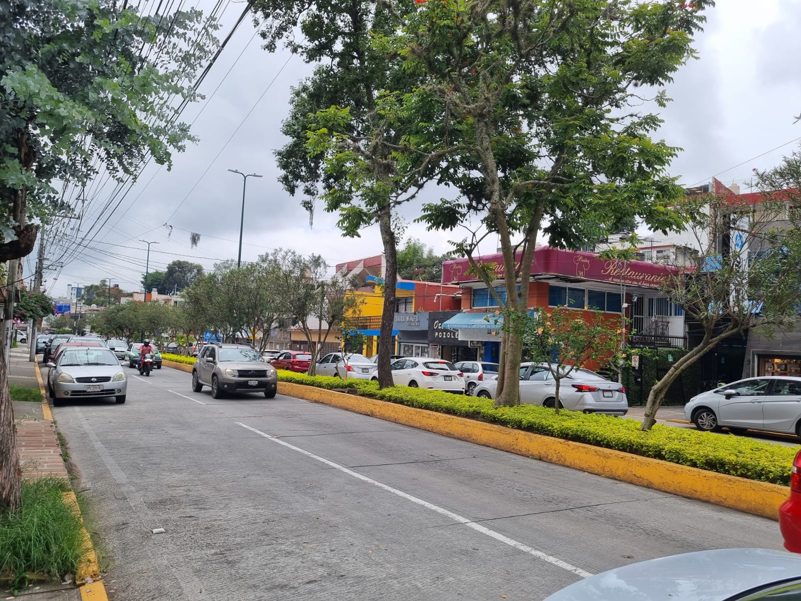 Potencial de lluvias será variable y habrá ligero aumento de temperatura