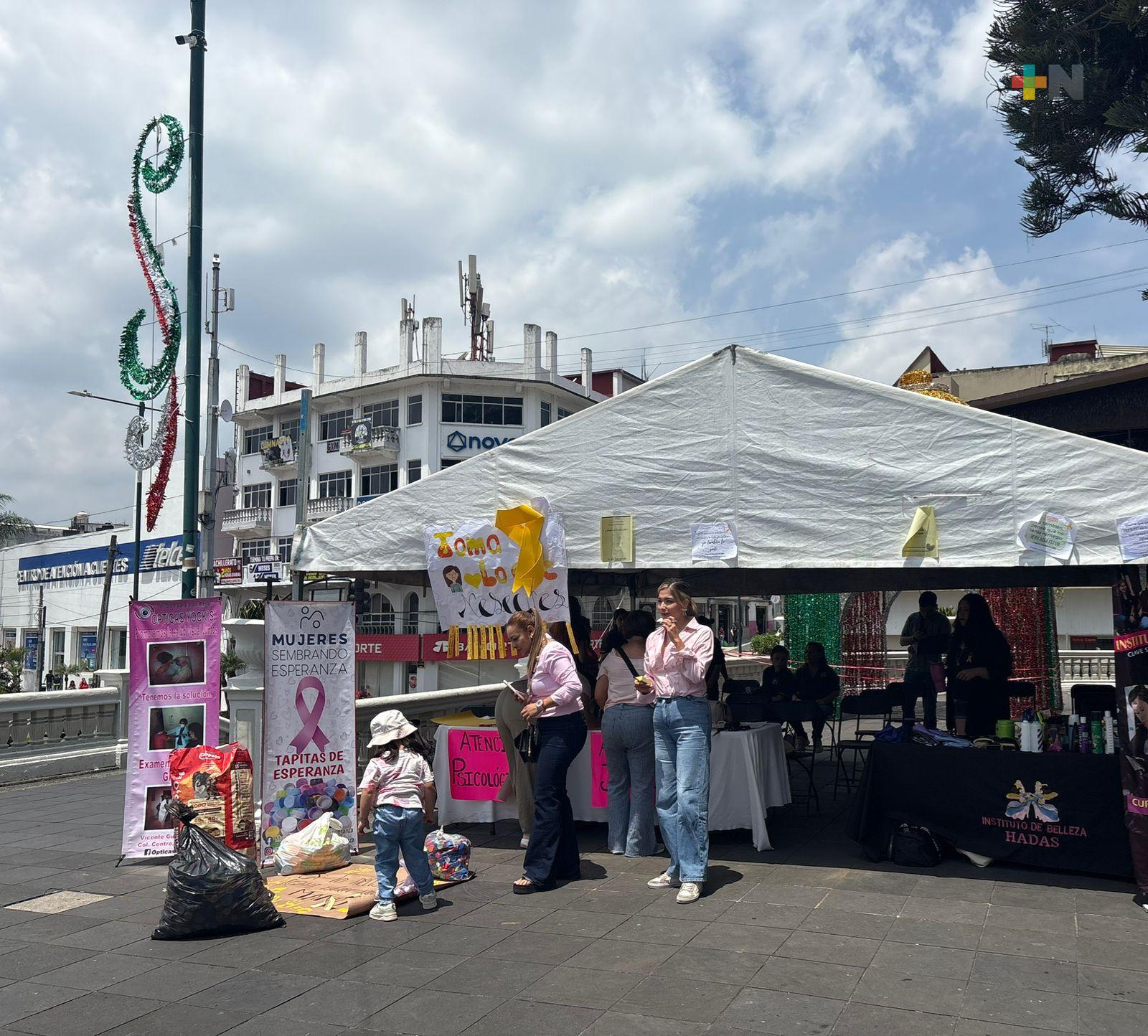 Activistas recaudan tapitas y cabello para realizar pelucas oncológicas en Xalapa