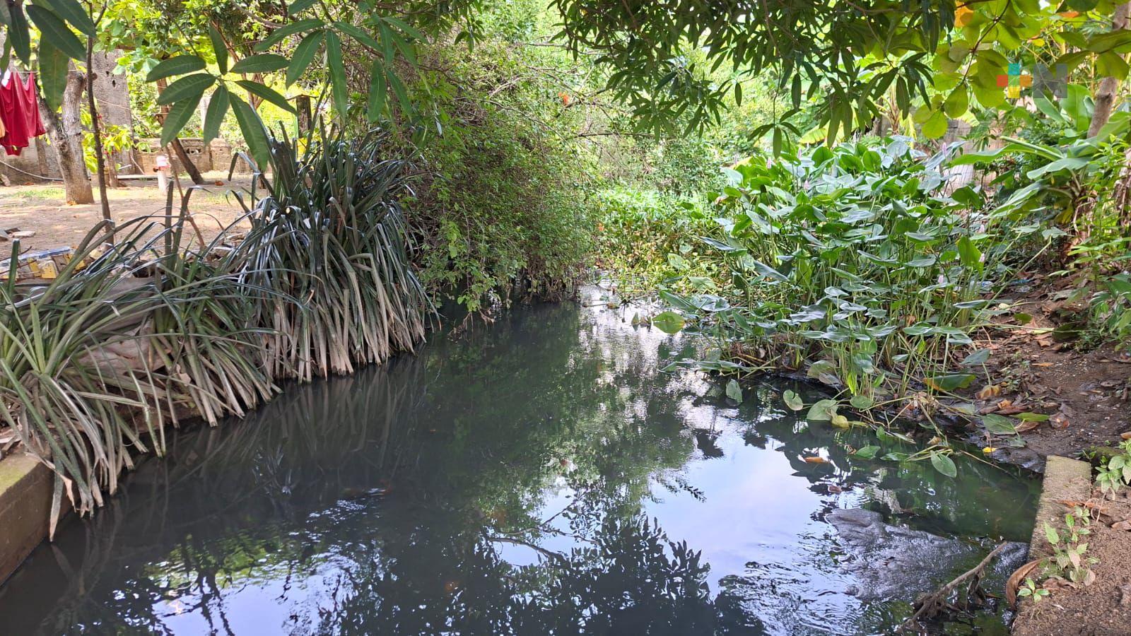 Previenen inundaciones en Coatzacoalcos con limpieza de canales a cielo abierto