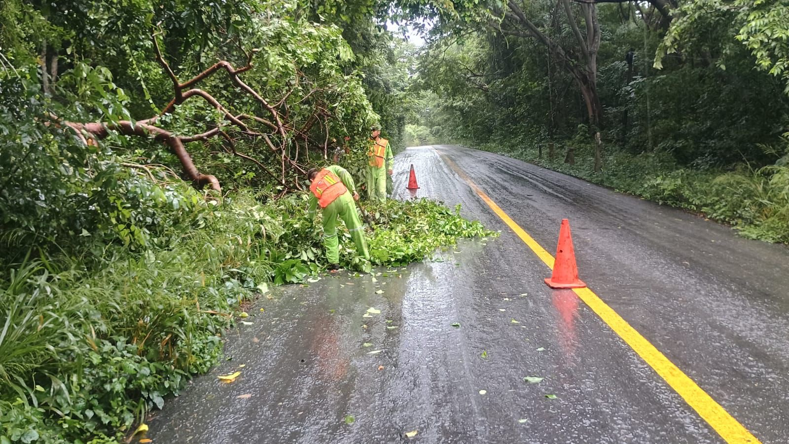 Atiende SICT deslaves y derrumbes por lluvias en Veracruz