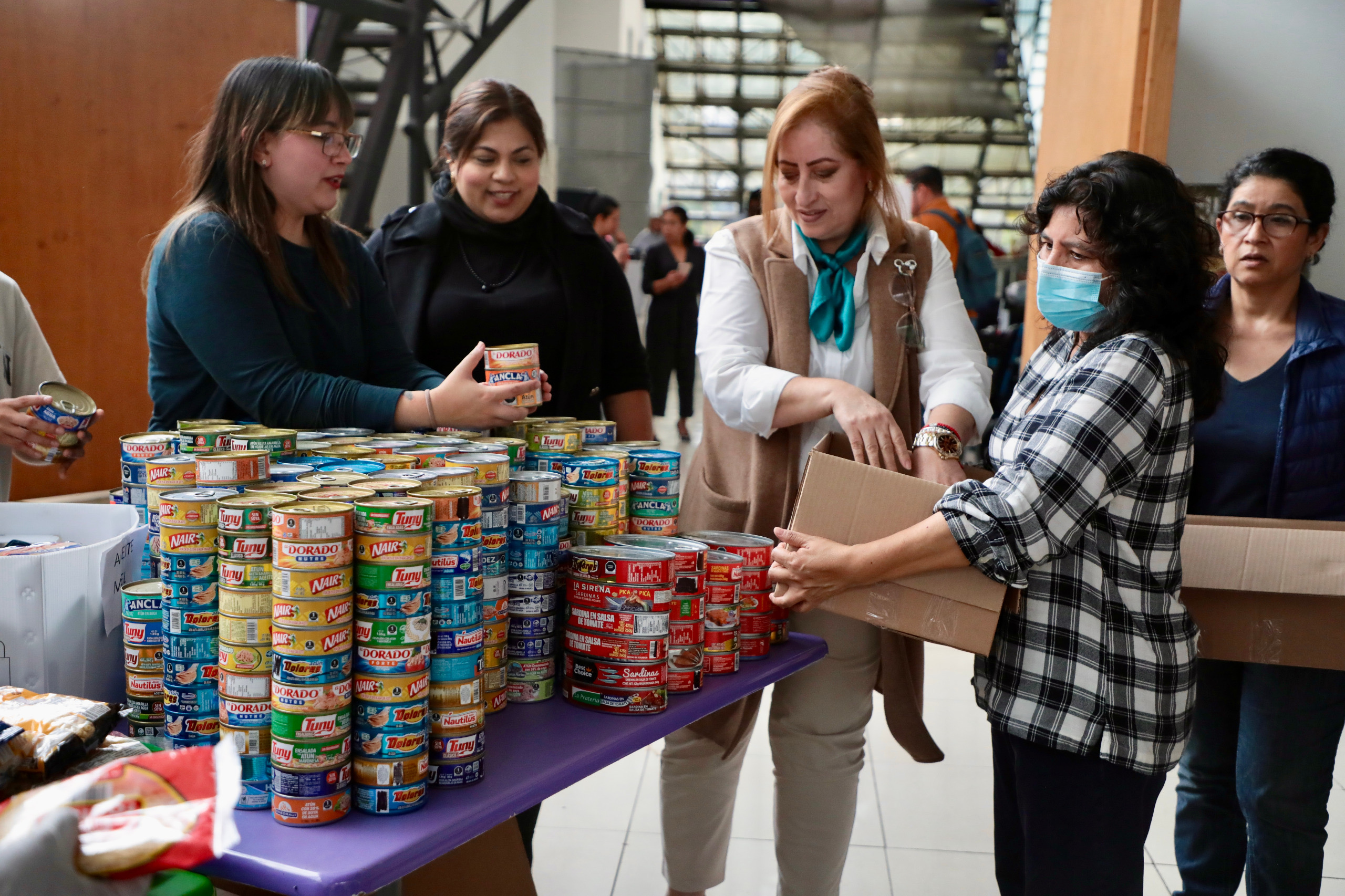 Llegaron justo cuando más lo necesitábamos: vecinos de Álamo reciben apoyo tras las lluvias