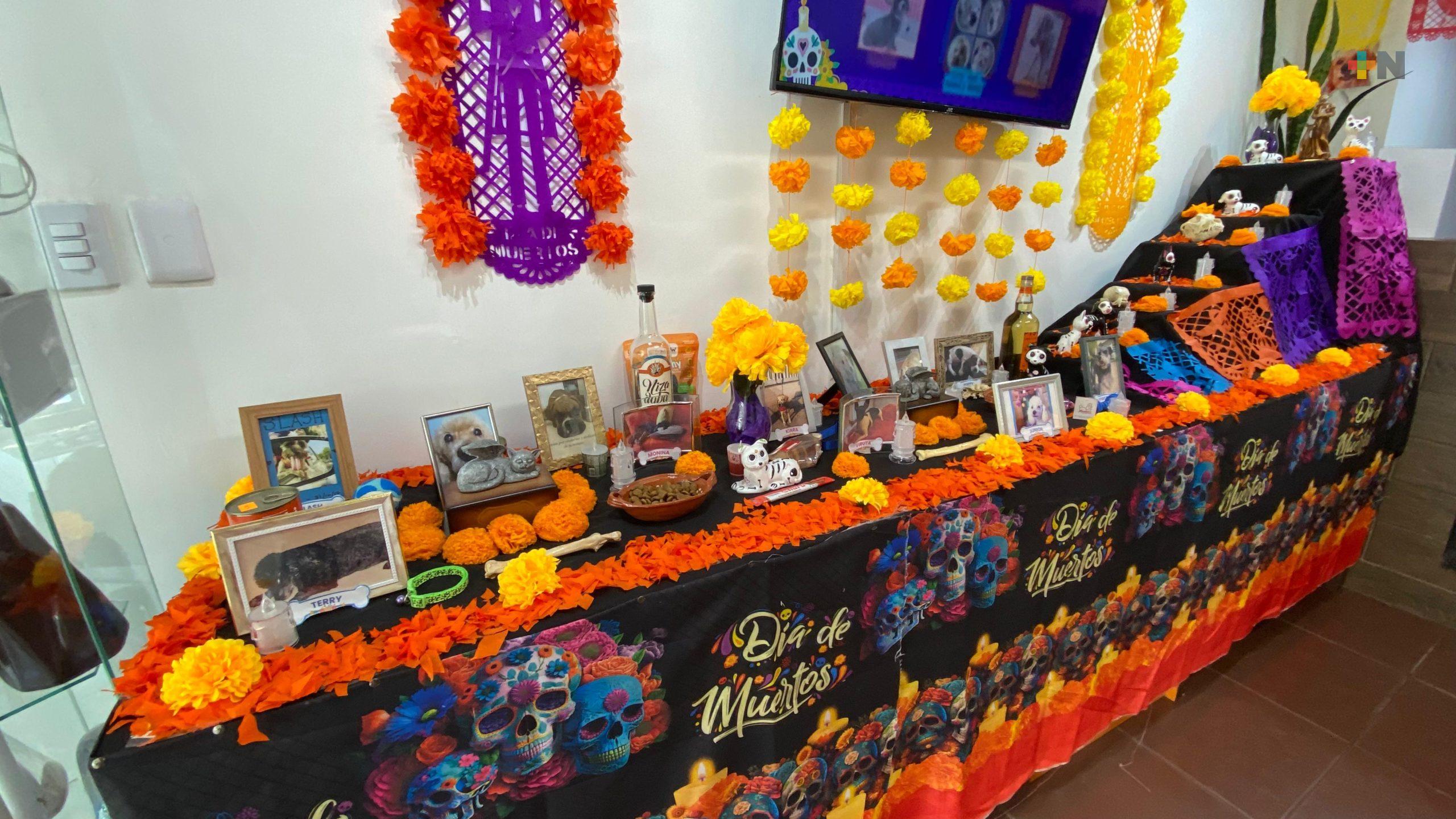 Familias honran a sus mascotas en el Día de Muertos