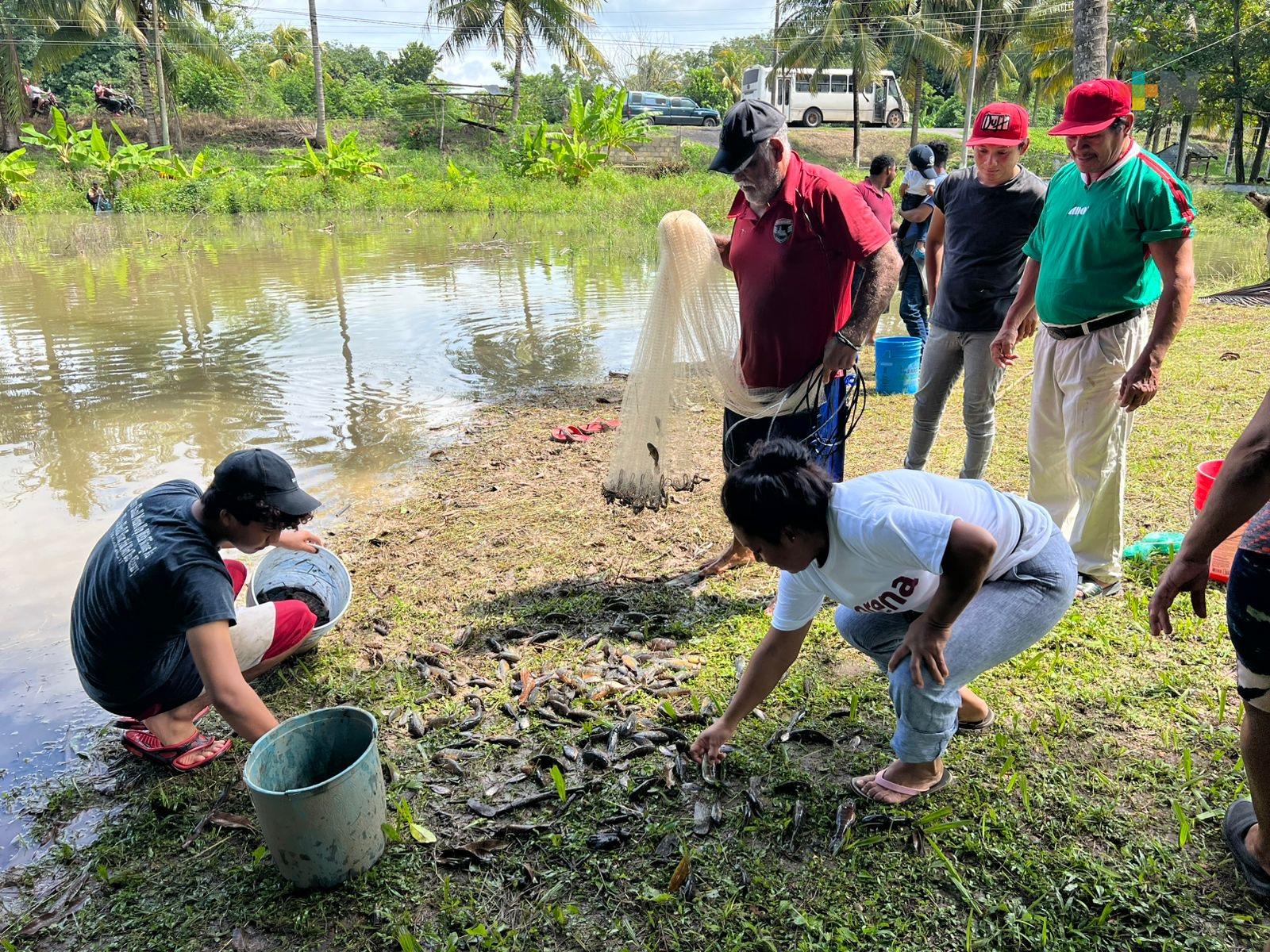 Familias del Papaloapan mantienen viva la tradición de pescar nácara durante la creciente del río