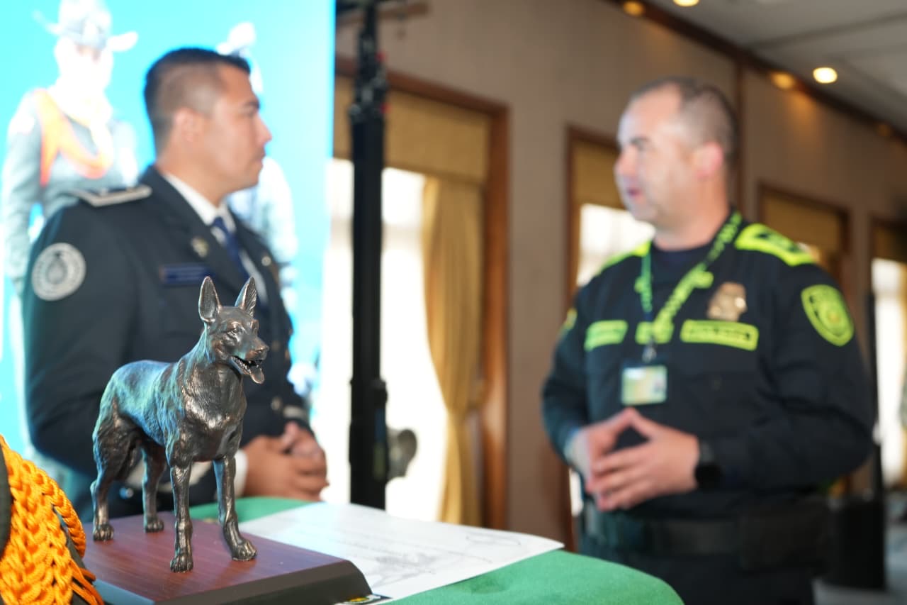 Veracruz, ejemplo internacional; modelo de Perros Multipropósito destaca en Colombia