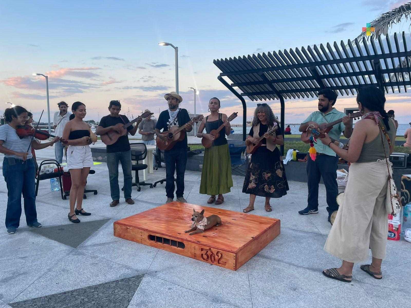 Artistas realizan colecta para damnificados del norte de Veracruz