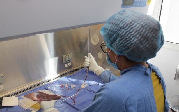 Banco de Células Troncales Hematopoyéticas del IMSS, entre los cinco mejores del mundo