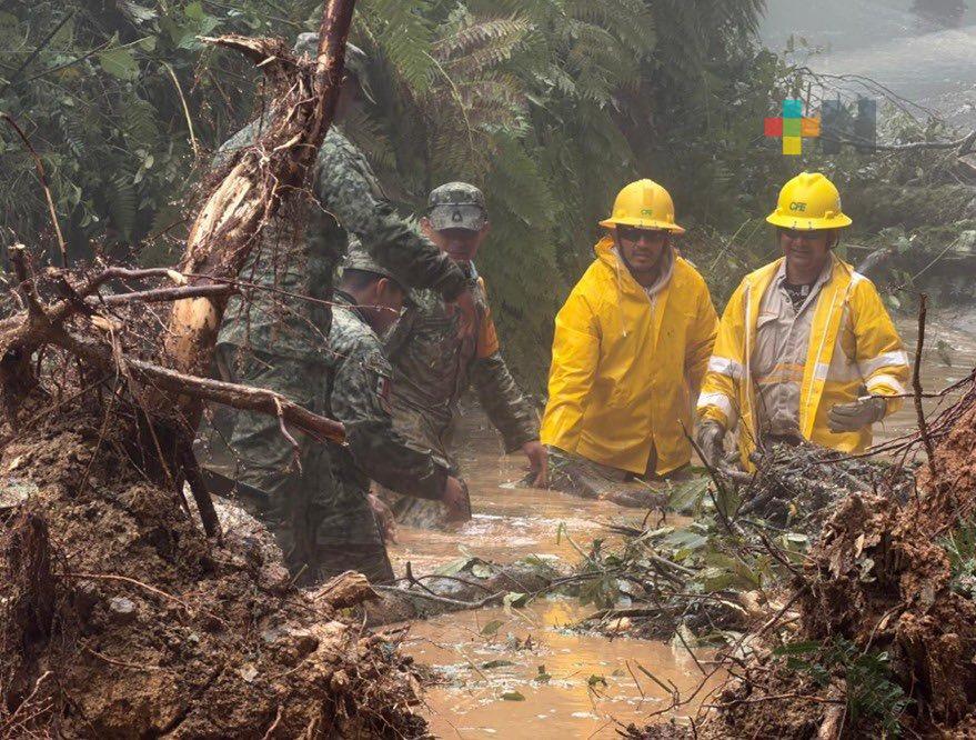 CFE reporta 83% en restablecimiento de energía eléctrica para Veracruz