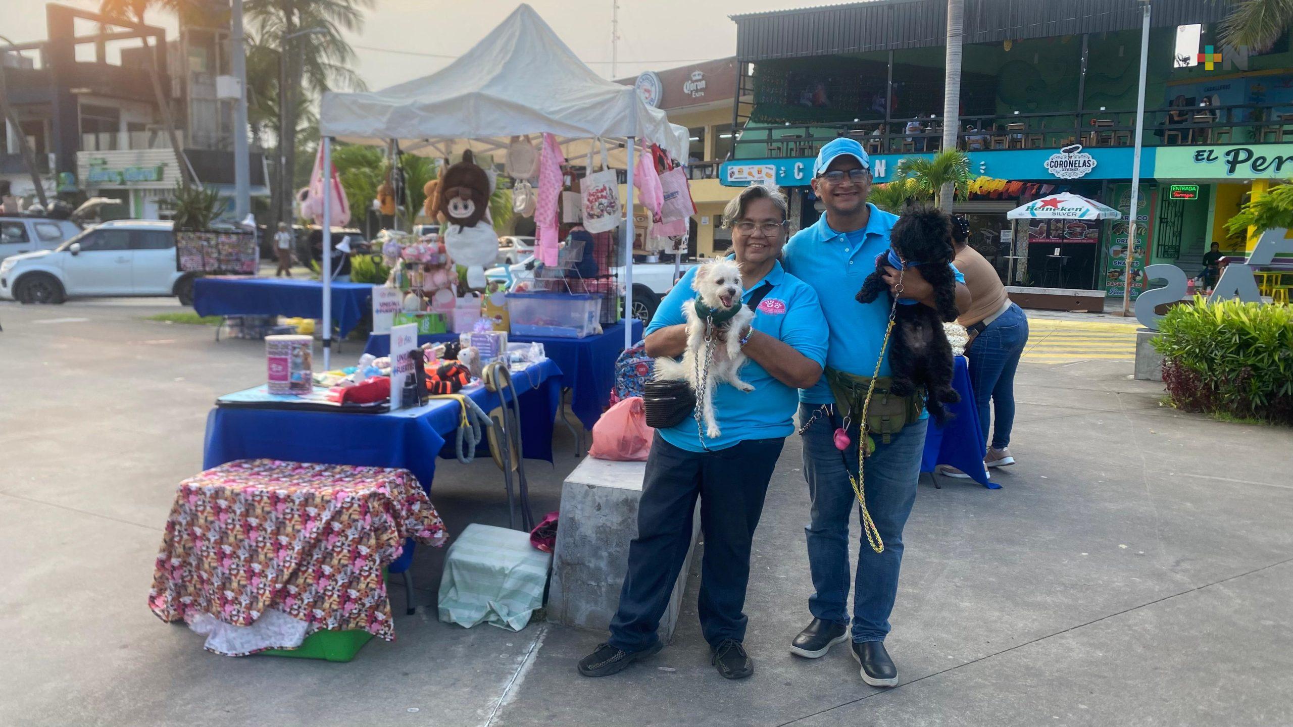 Animalistas realizan colecta en apoyo de perros y gatos del norte de Veracruz