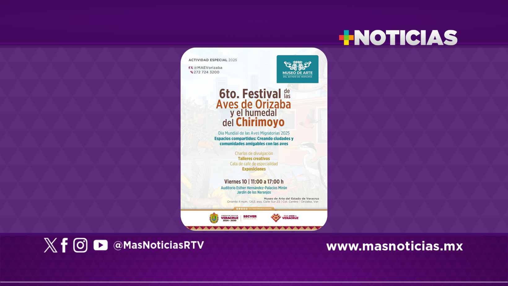 Acude al festival de Aves de Orizaba en el MAEV