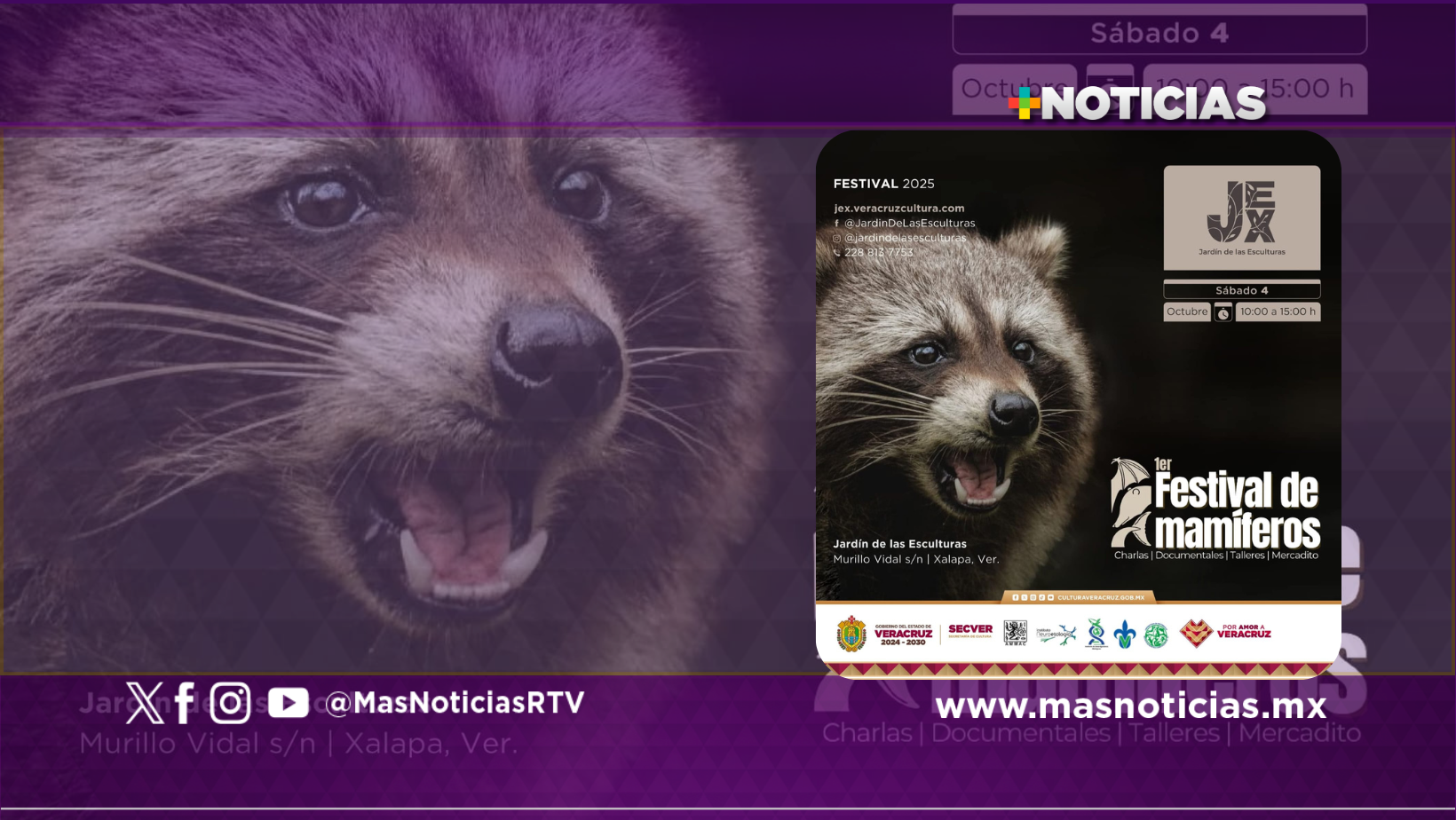 En Xalapa realizarán primer festival de mamíferos