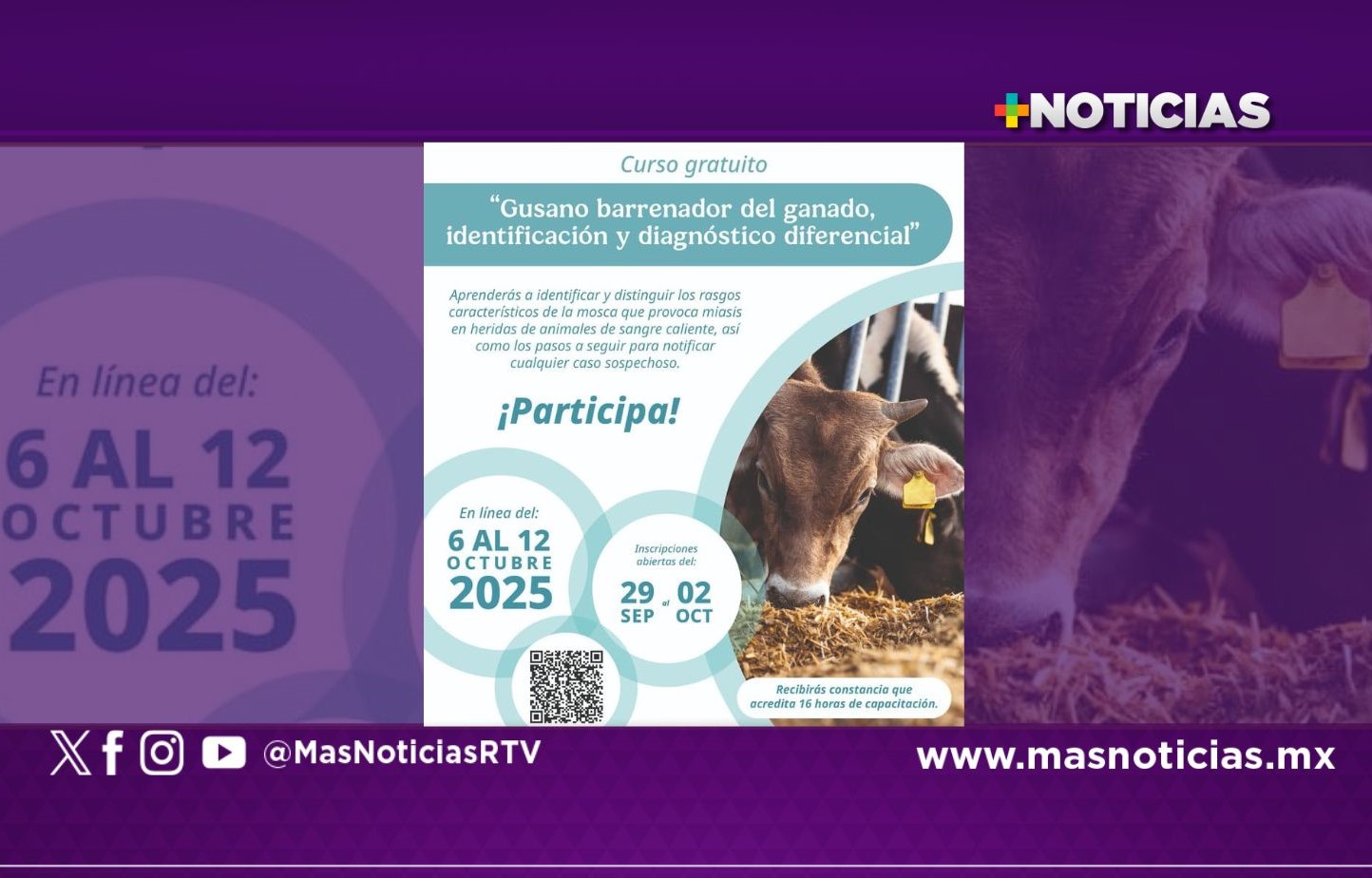 Ofrecen curso en línea sobre el gusano barrenador del ganado