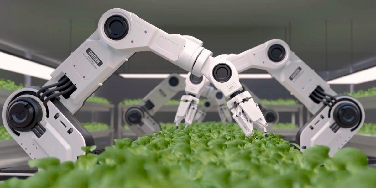 Ganan politécnicos concurso de Huawei