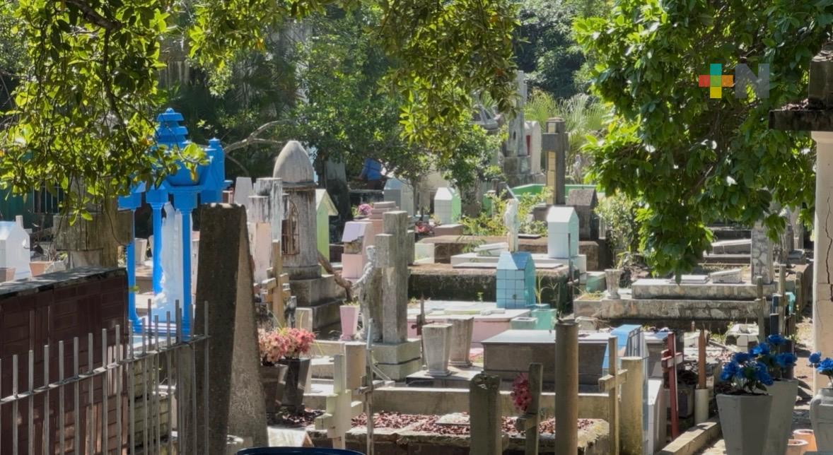 Fumigan panteones de Coatzacoalcos para erradicar mosquito del dengue