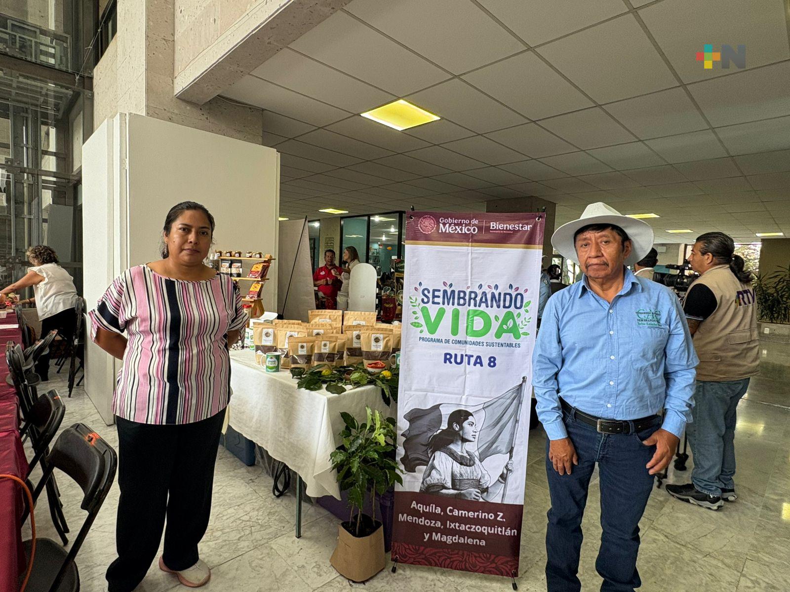 Productores de café se unen a programa federal “Café Bienestar”