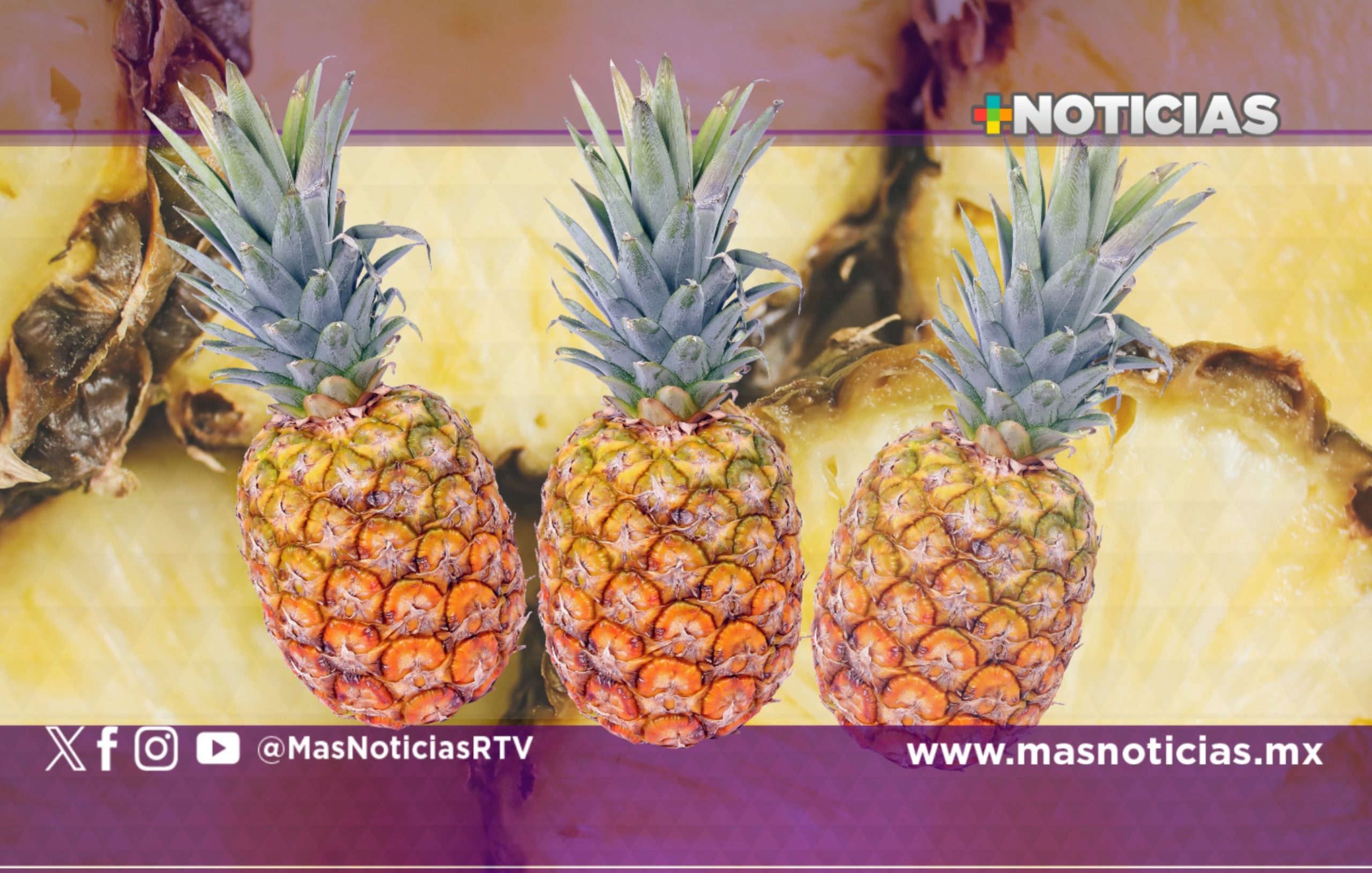 Impulsan certificación de piña para competir en mercados internacionales