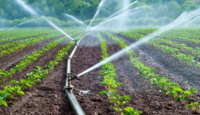 Conagua abre periodo para actualizar concesiones de agua a agricultores