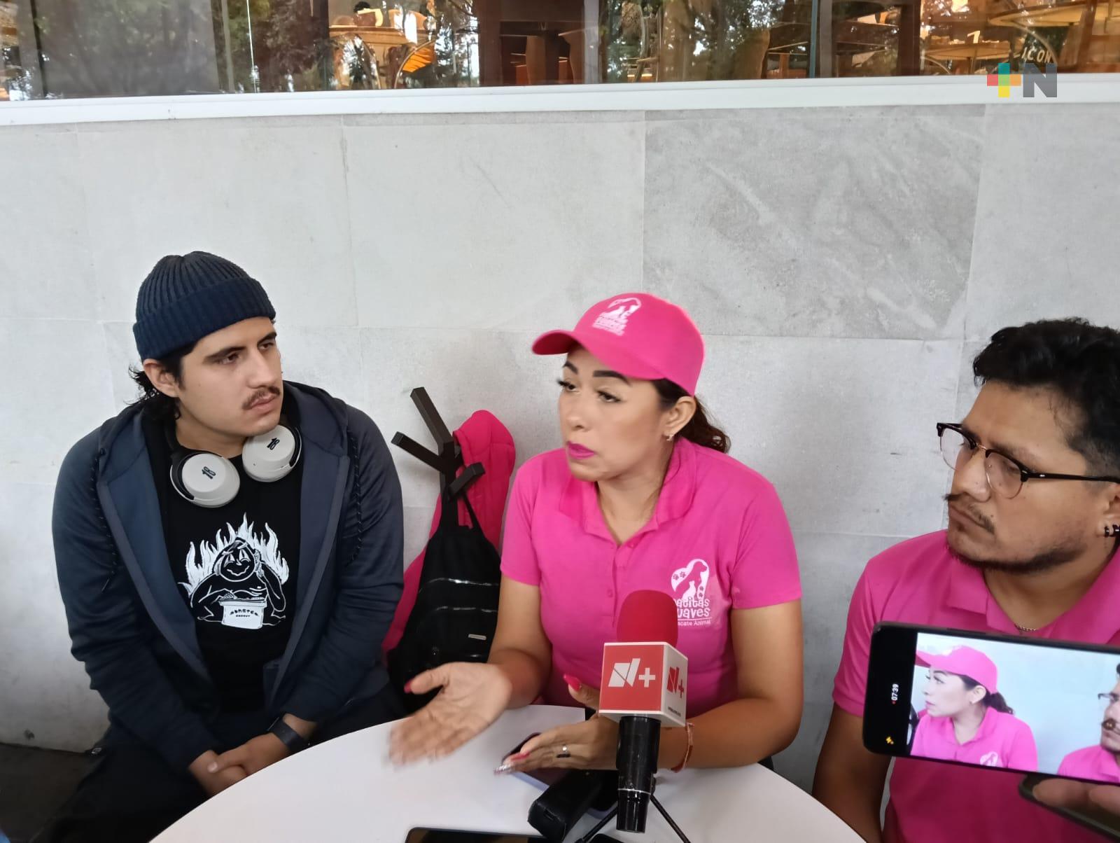 Cuiden a sus mascotas ante proximidad de Halloween pide rescatista