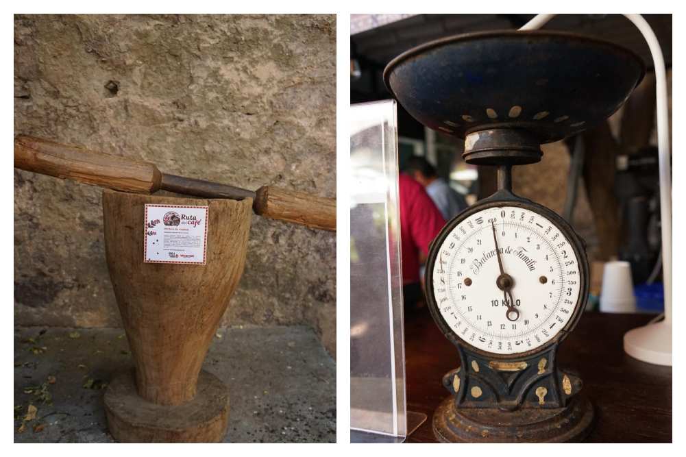 Vive la experiencia Ruta del Café: Tradición, Sabor y Aroma veracruzano en el Cervantino