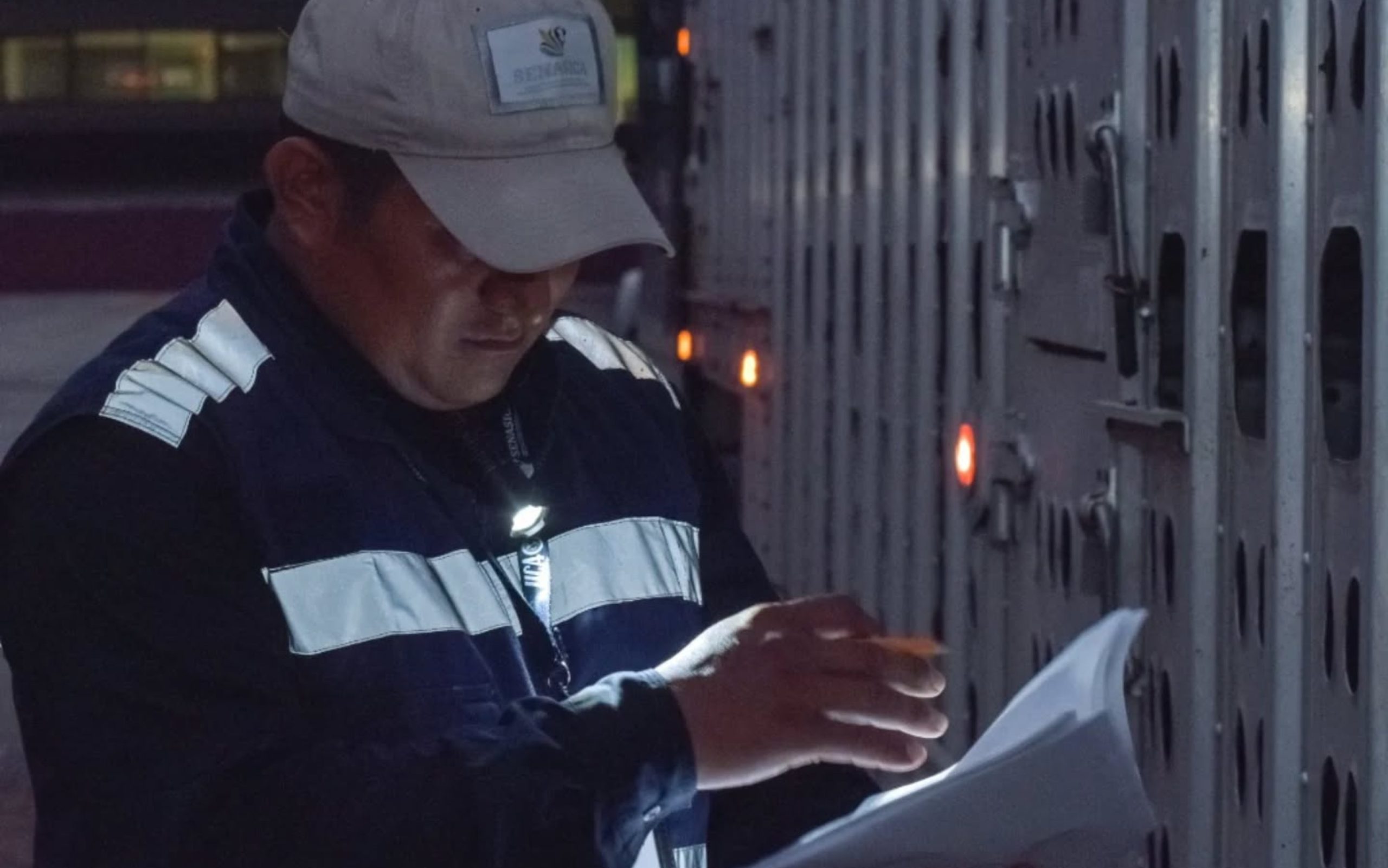 Senasica mantiene monitoreo ante gripe aviar