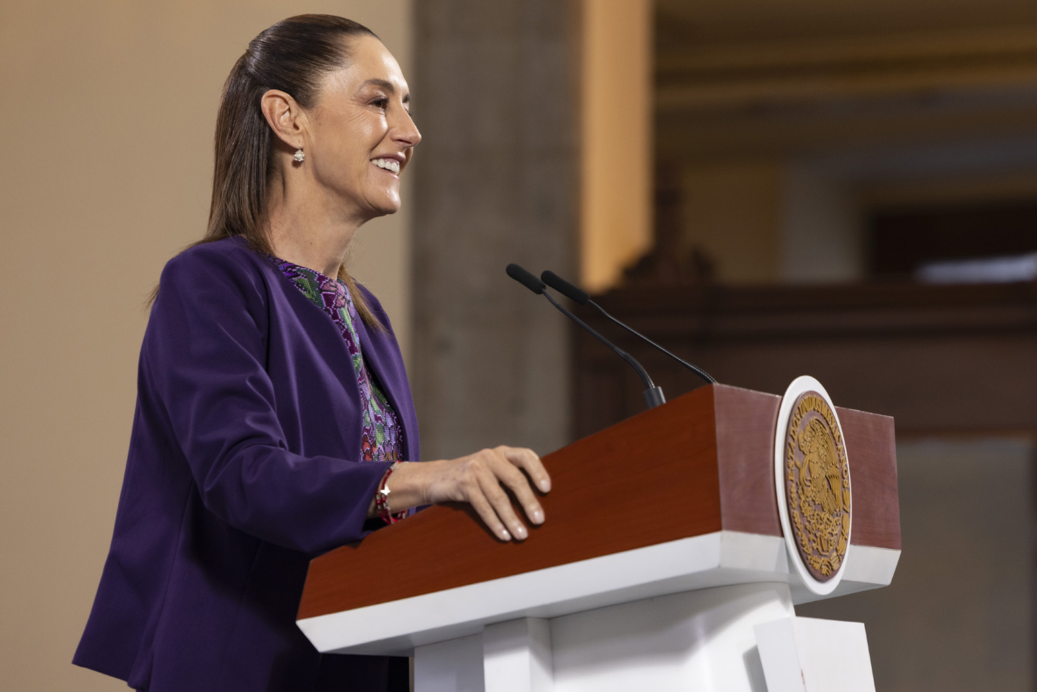 Sheinbaum aclara que Levy fue detenido en Portugal por Interpol y tiene órdenes de aprehensión en CdMx