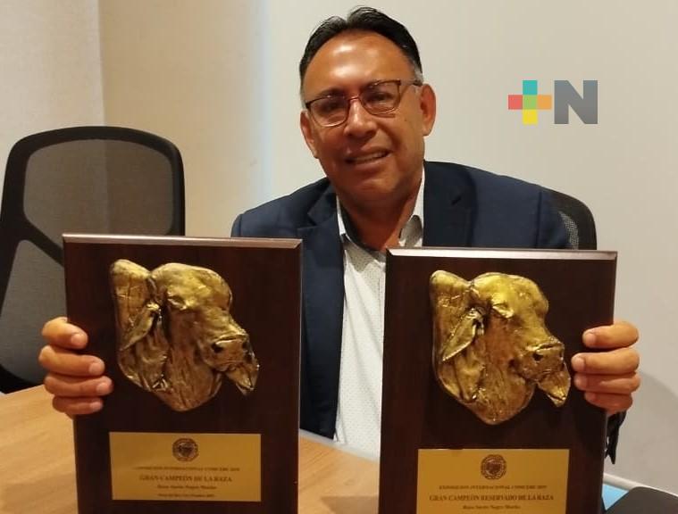 Veracruz destaca en Congreso Mundial de Criadores de Cebú 2025; obtiene primeros lugares