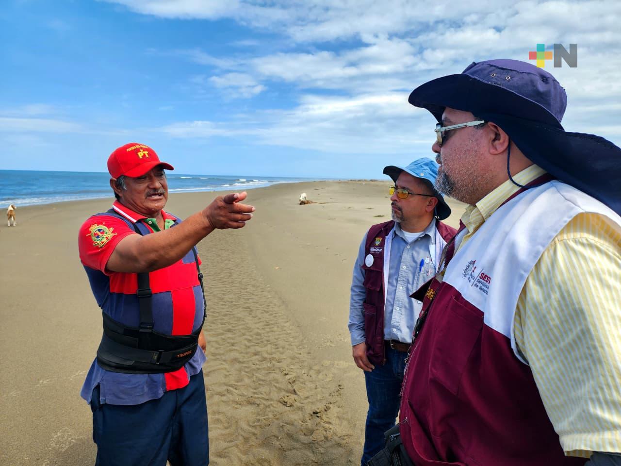 Capacitan a personal municipal para manejo sanitario de animales varados en playas del sur de Veracruz