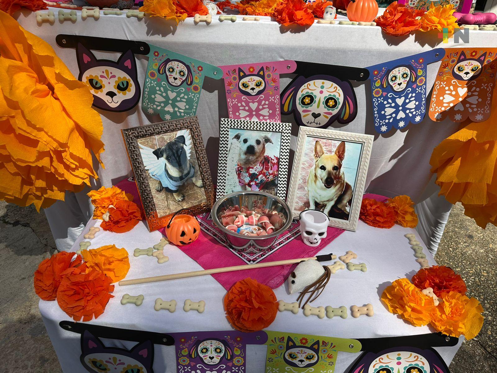 Colocan altar en honor a las mascotas en Coatzacoalcos
