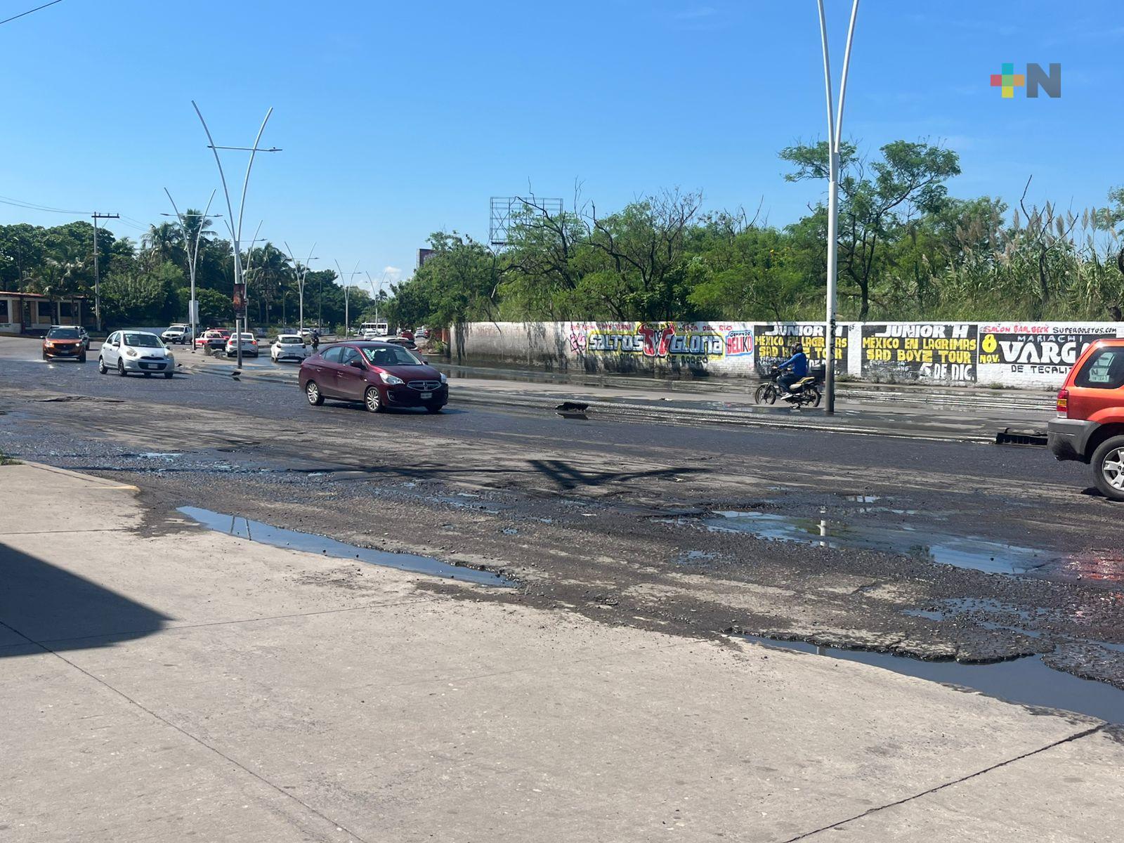 Baches y charcos en avenida Ejército Méxicano de Veracruz puerto