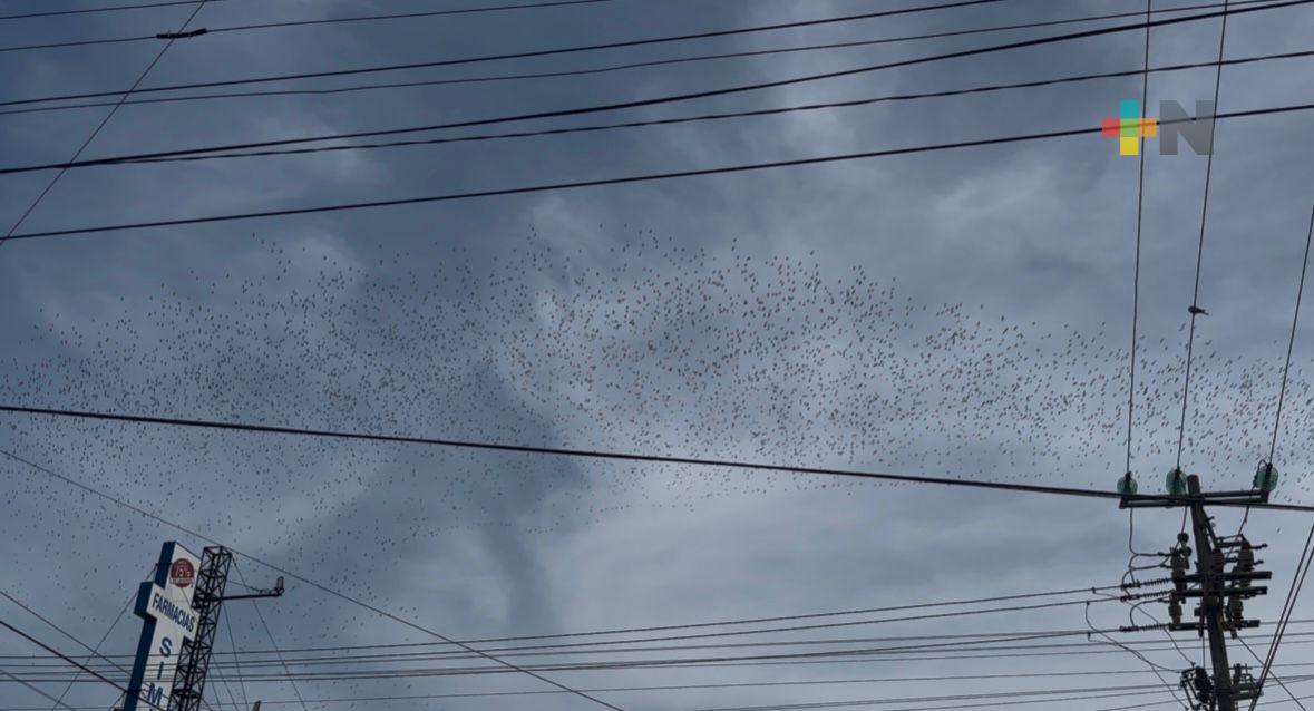 Exhortan a coatzacoalqueños estar atentos a reportes meteorológicos