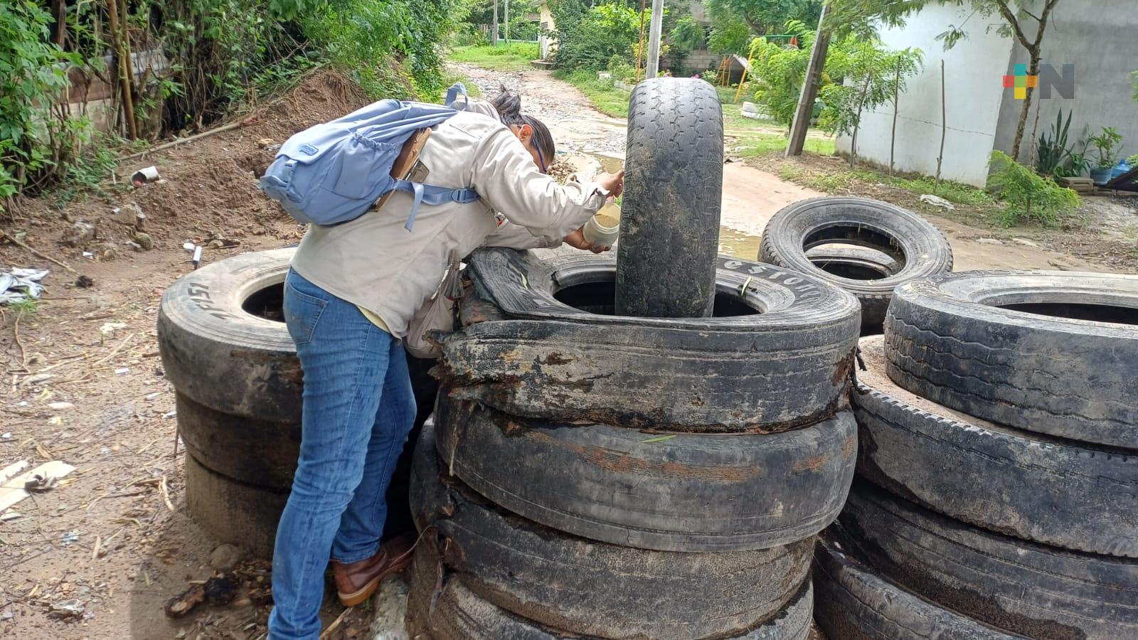 Lucha contra mosquitos transmisores del dengue debe ser permanente