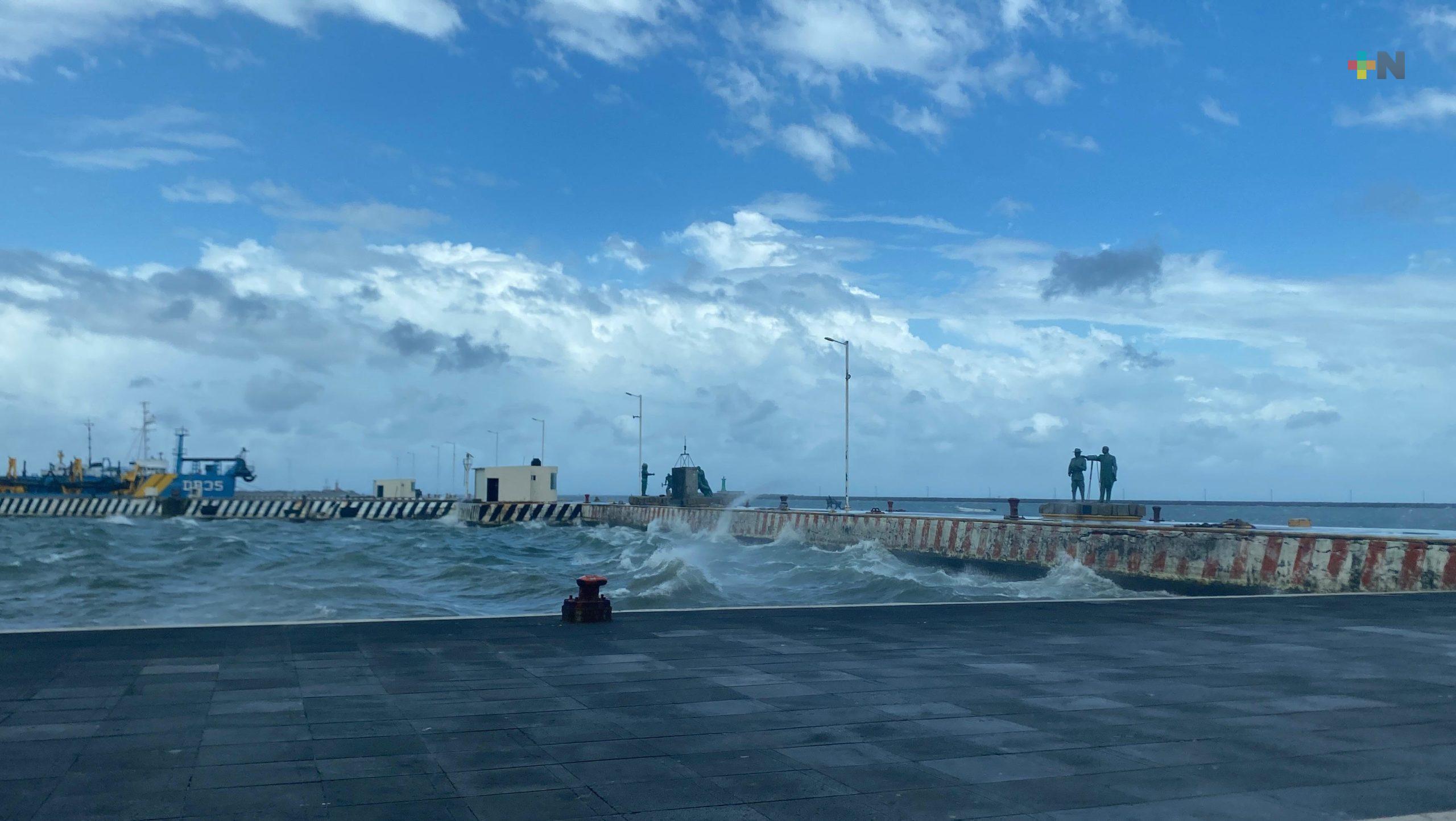 Efectos de norte provoca caída de árboles en Veracruz