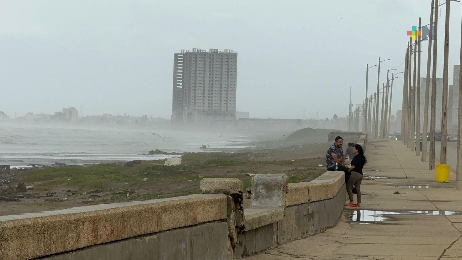 Poste caído en bulevar de Coatzacoalcos tras paso de frente frío 11
