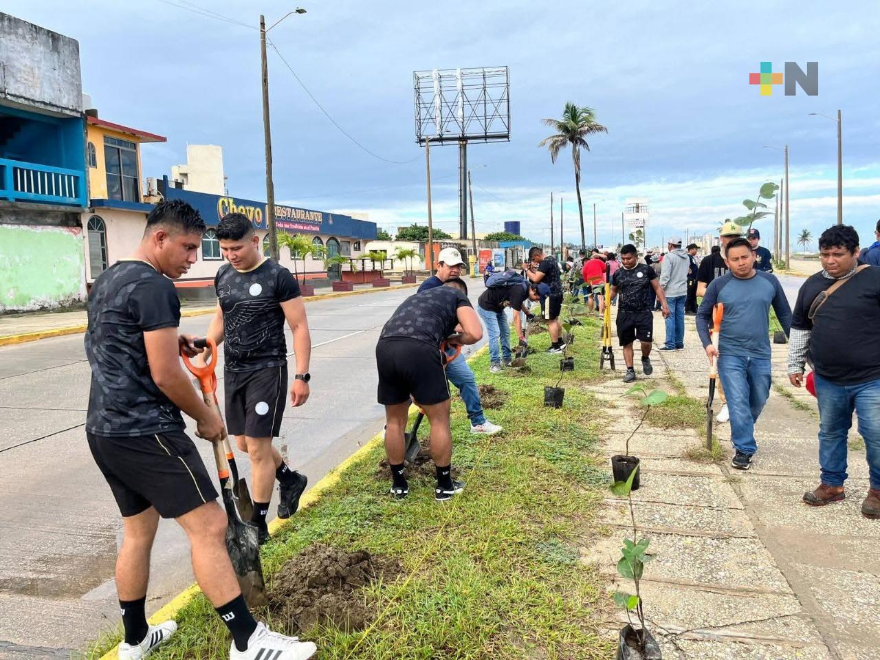 Siembran 300 árboles en malecón costero de Coatzacoalcos