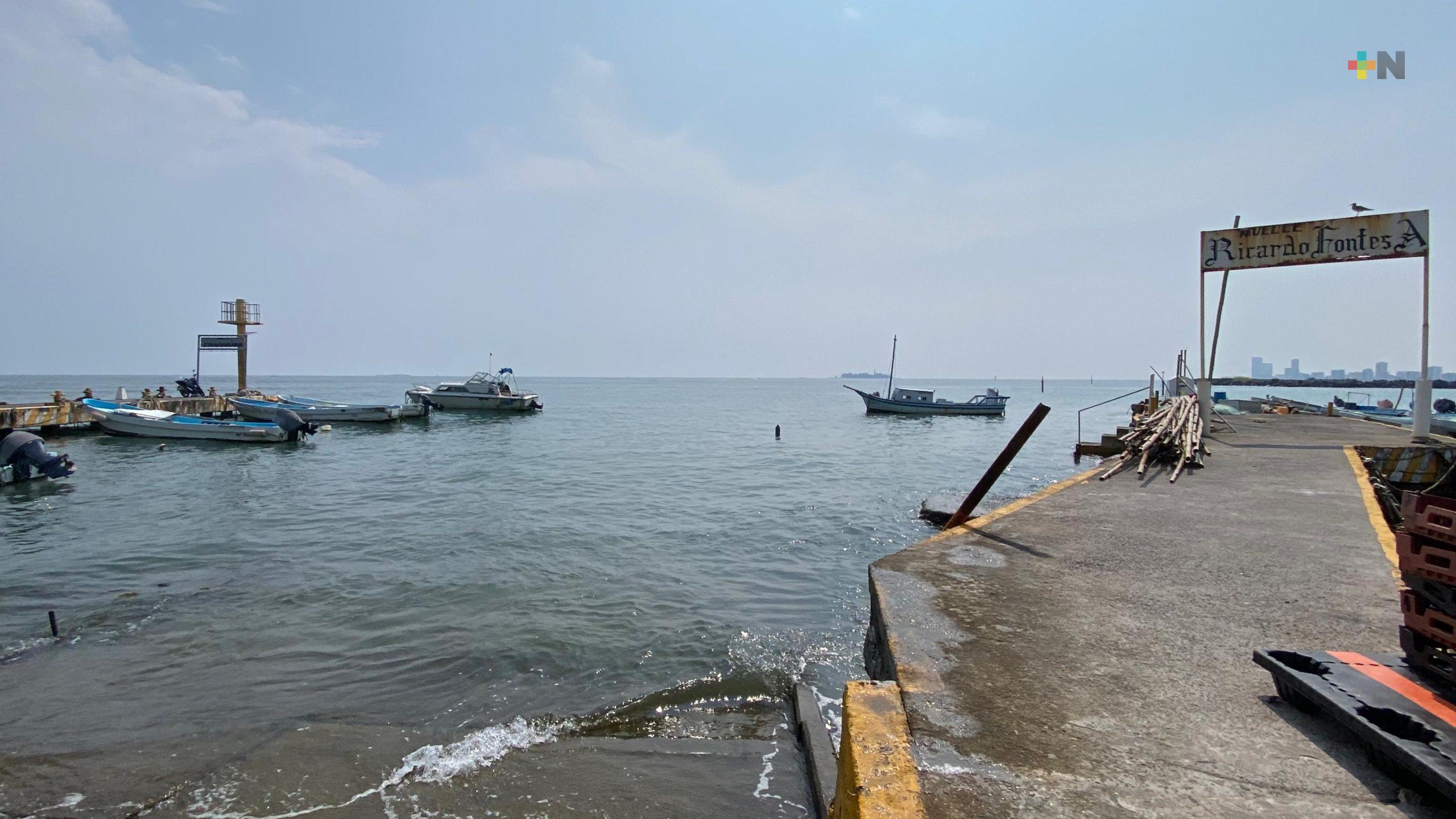 Baja producción de especies marinas, reportan pescadores de puerto de Veracruz