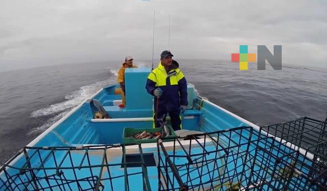 Anuncian periodos de aprovechamiento y veda en aguas federales del Golfo de México