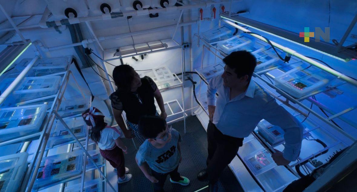 Primer prototipo latinoamericano para exploración tripulada a Marte llega a Coatza