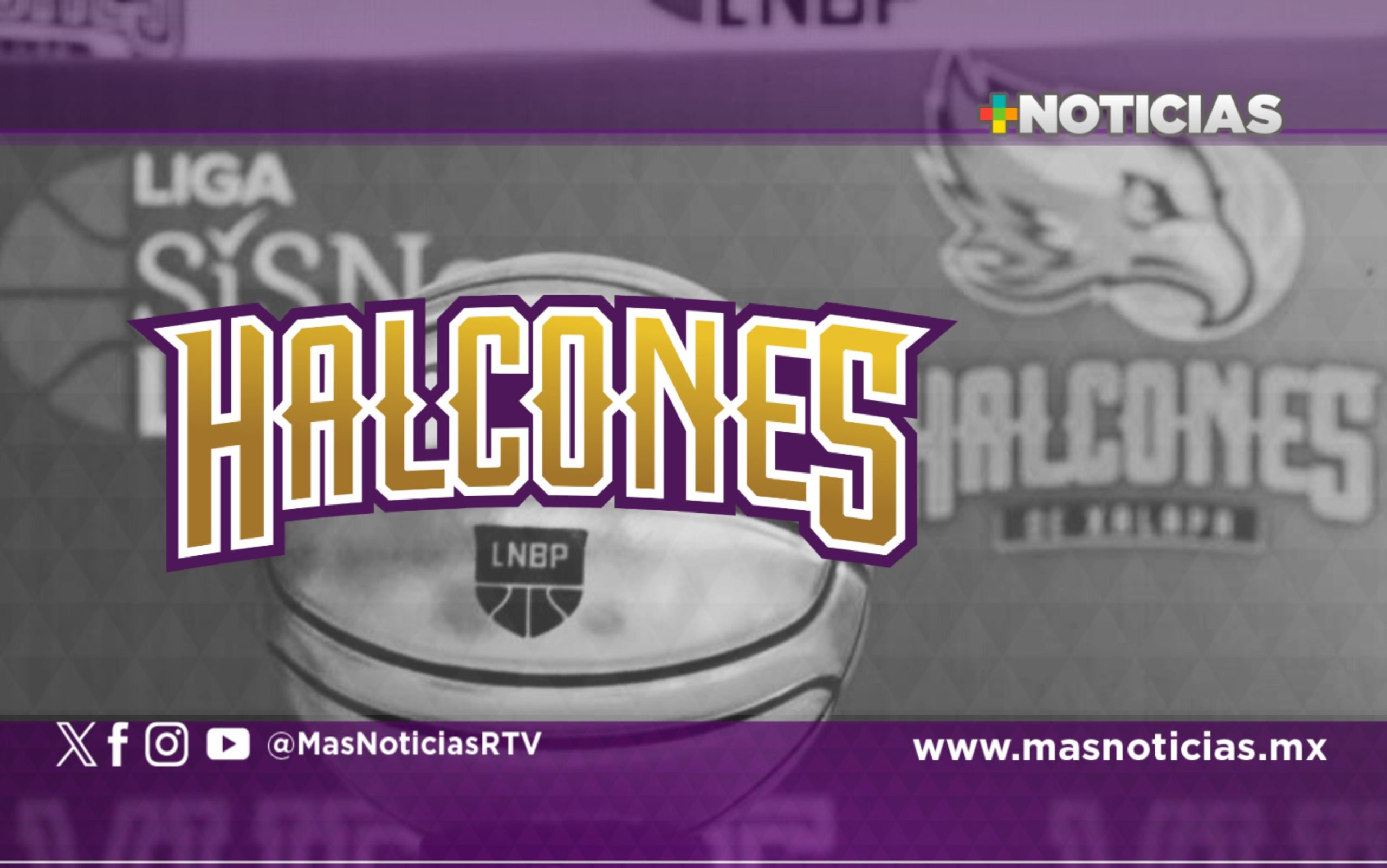 ¿Desaparecen? Halcones de Xalapa podría abandonar la LNBP