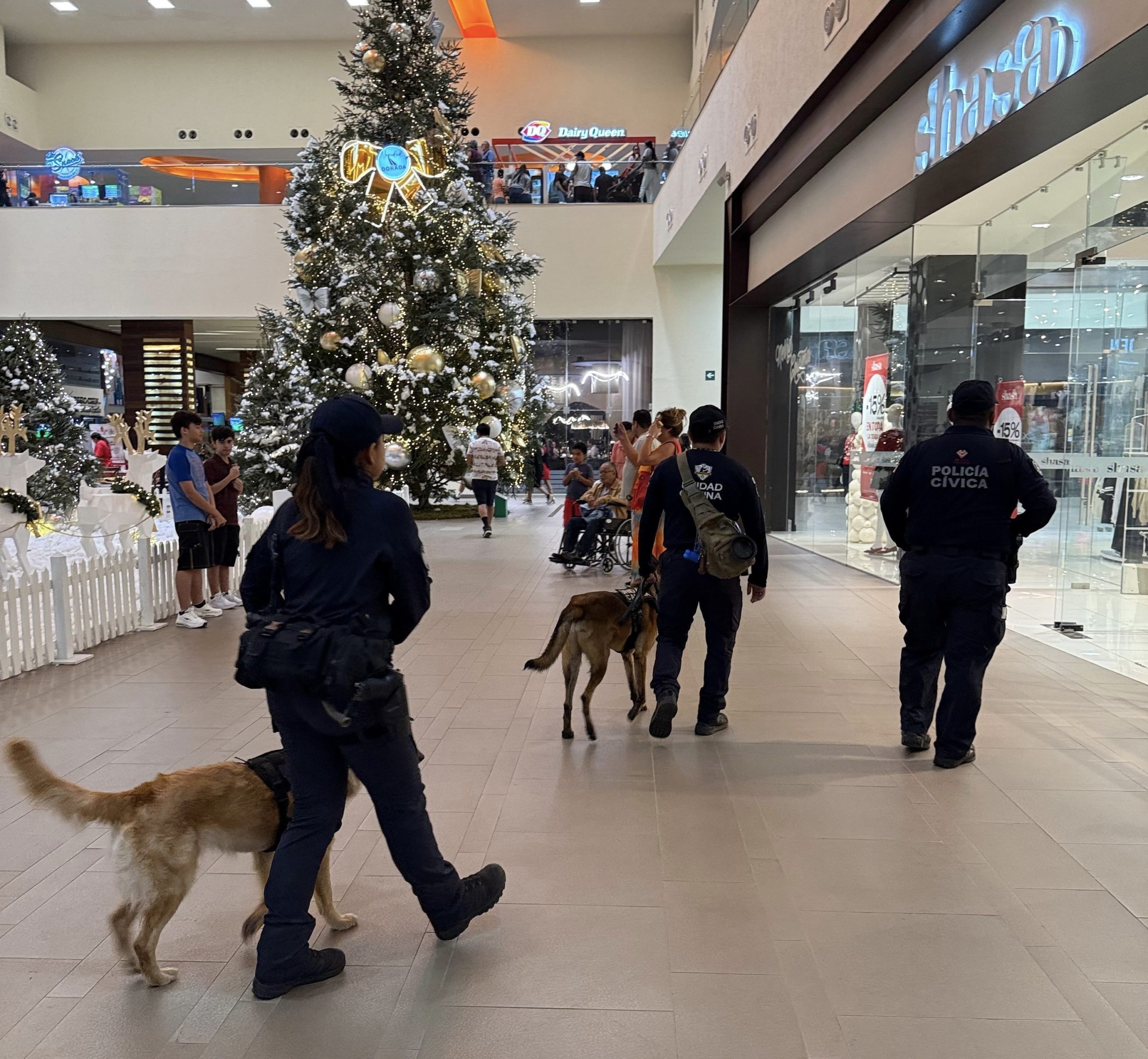 Veracruz mantiene jornadas de Buen Fin sin incidentes relevantes: SSP