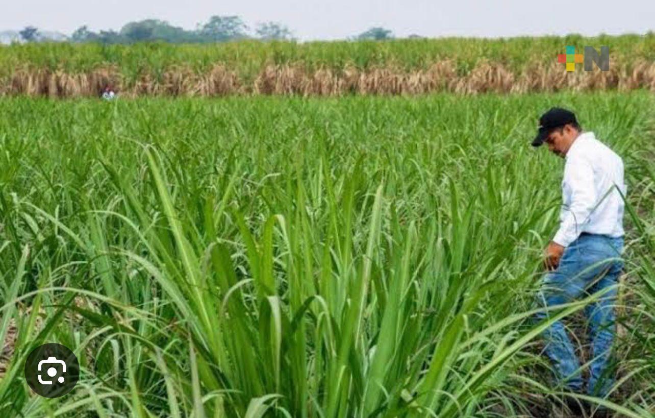 Histórico acuerdo nacional fortalece a la agroindustria azucarera