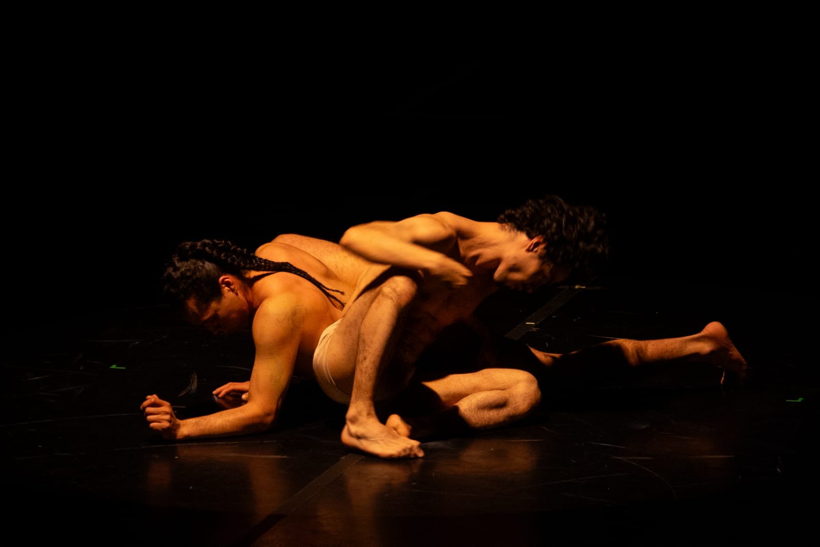 Artistas veracruzanos destacan en el Premio Nacional de Danza Guillermo Arriaga