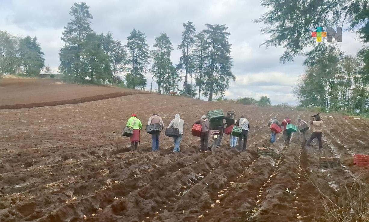 Gobierno del Estado y productores organizan estrategia para impulsar la agroecología