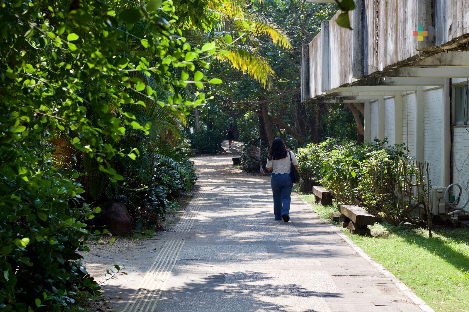Zonas de Veracruz y Boca del Río destacan puntos de riesgo para mujeres