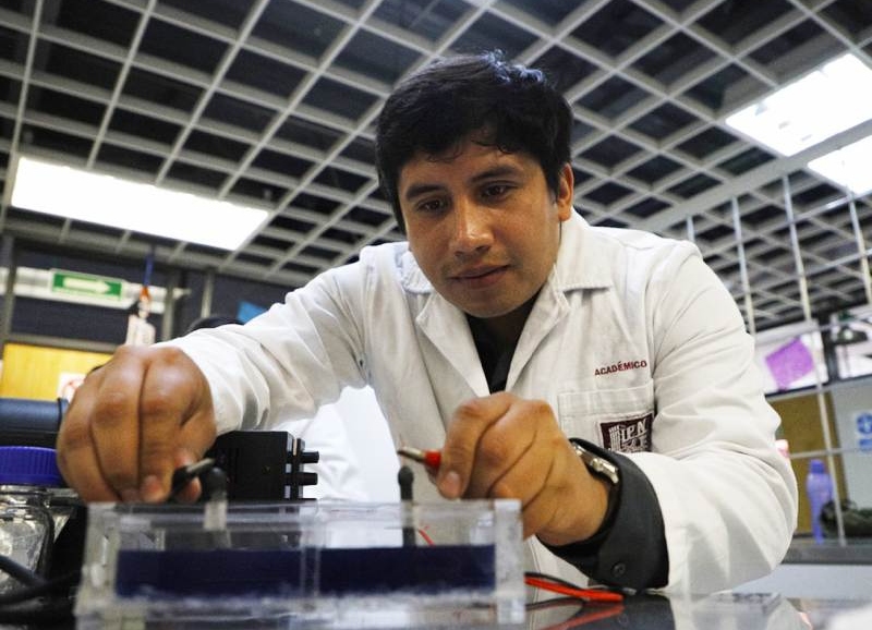 Estudiantes del IPN elaboran electrodos con sargazo para descontaminar aguas residuales