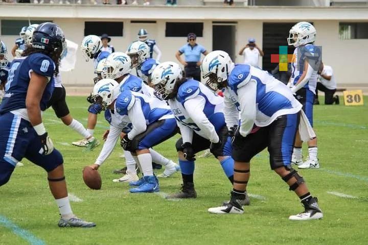 Mala temporada para Halcones en futbol americano; se disponen a reforzar equipo